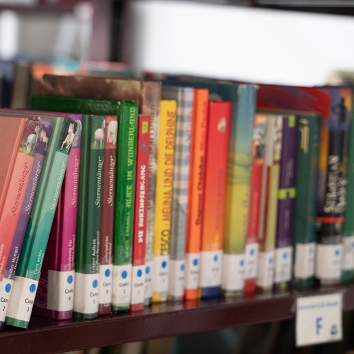 Bücherregal der Unterstufenbibliothek